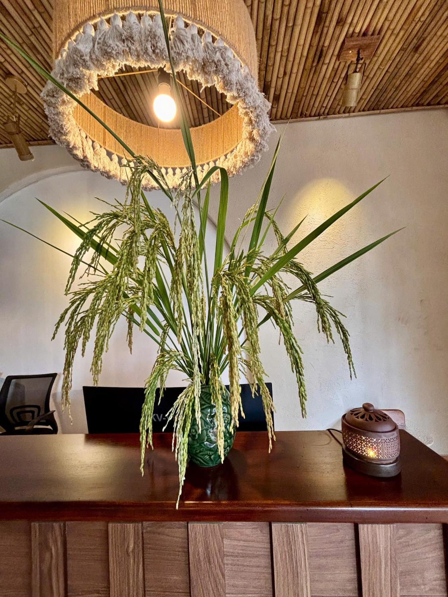 Truong Giang Boutique Hotel Lang Mon Eksteriør billede