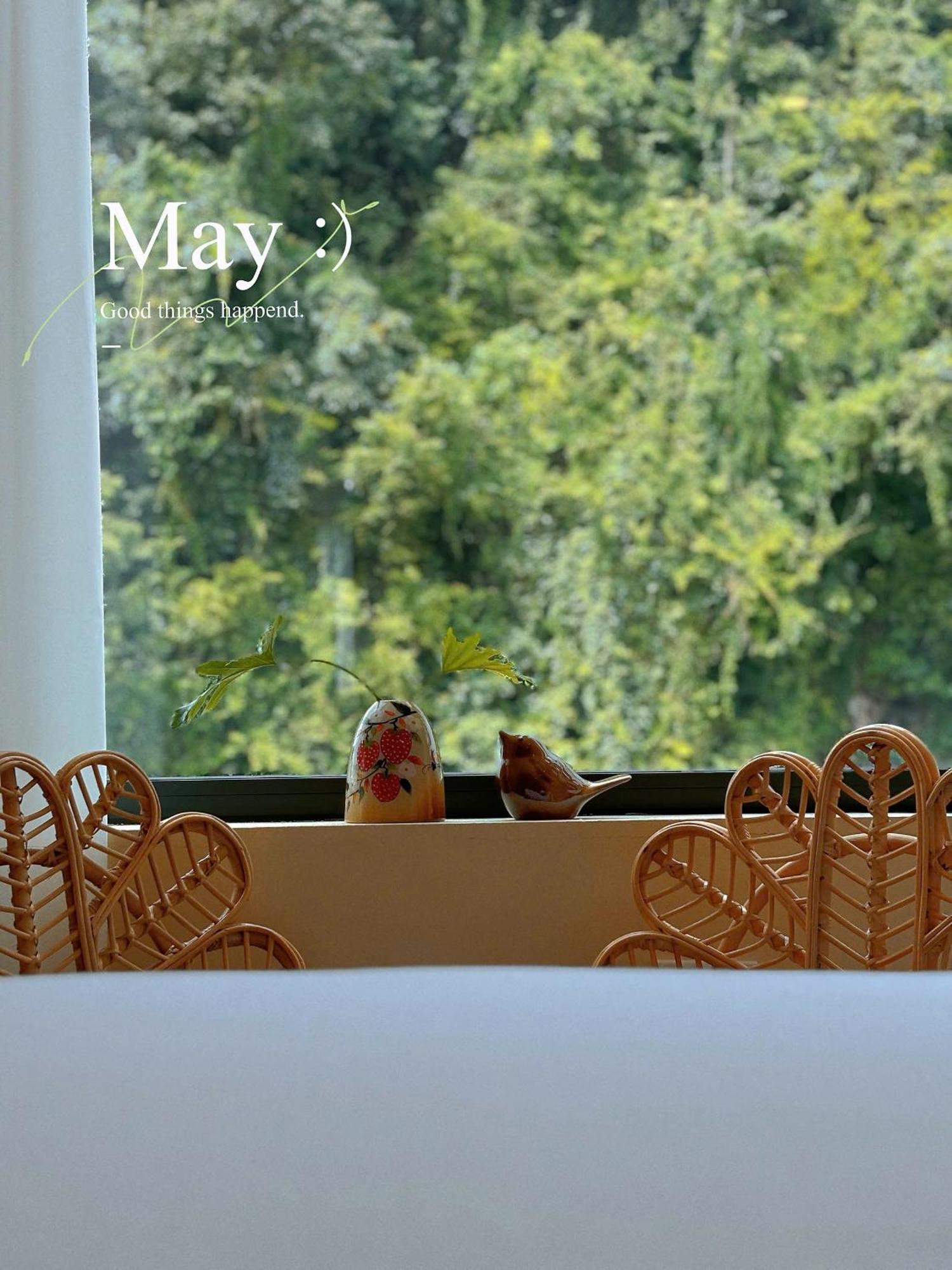 Truong Giang Boutique Hotel Lang Mon Eksteriør billede